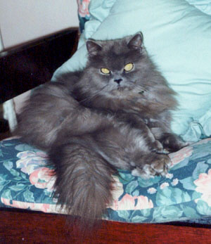 Natasha 1997